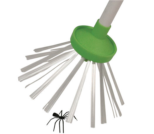 Spinnenfänger Spider Catcher