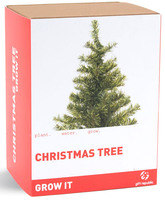 best 28 weihnachtsbaum pflanzen dekorieren best 28 weihnachtsbaum pflanzen dekorieren