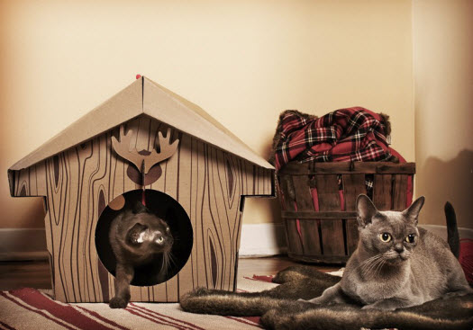 Kanadisches Chalet für Katzen von Loyal Luxe