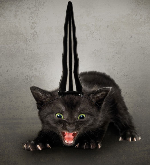 Inflatable Evil Unicorn Horn for Cats