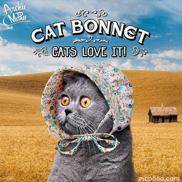 Cat Bonnet