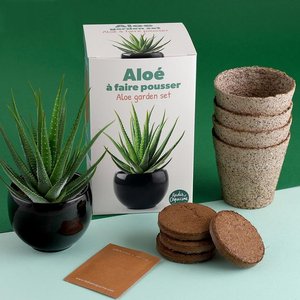 Aloe Vera Pflanz-Set