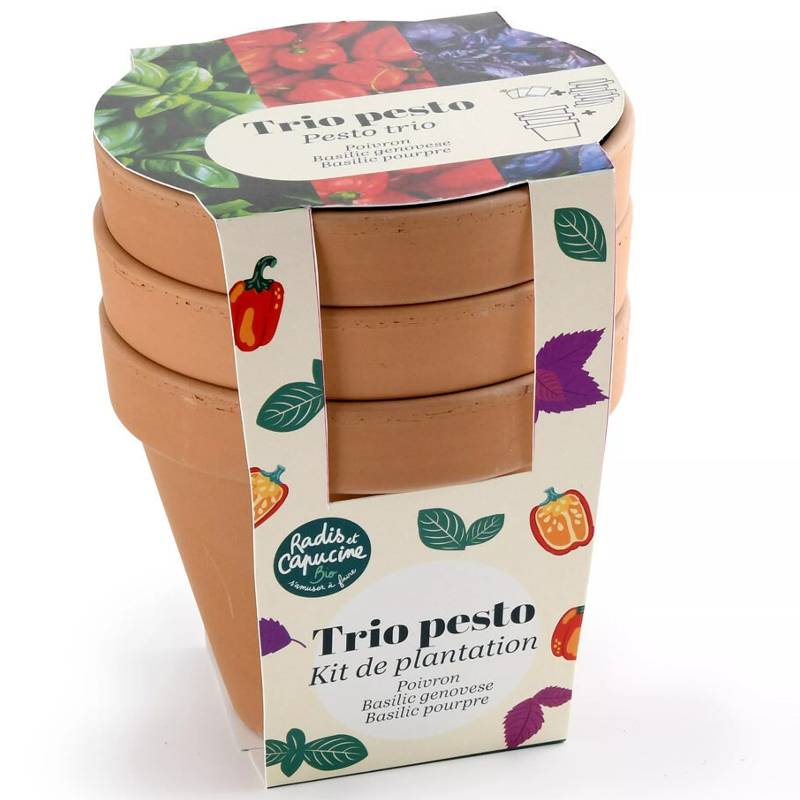 Kit de plantation Trio pesto