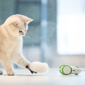 Furious Mouse Cat Toy