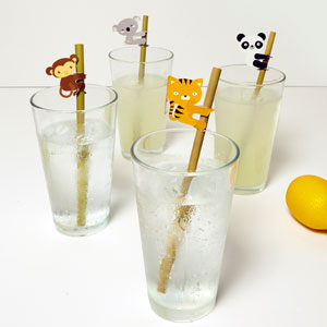 Animal Bamboo Straws