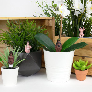 Plant Pot Mini Naked Ramblers