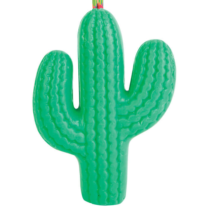 Cactus Soap on a Rope