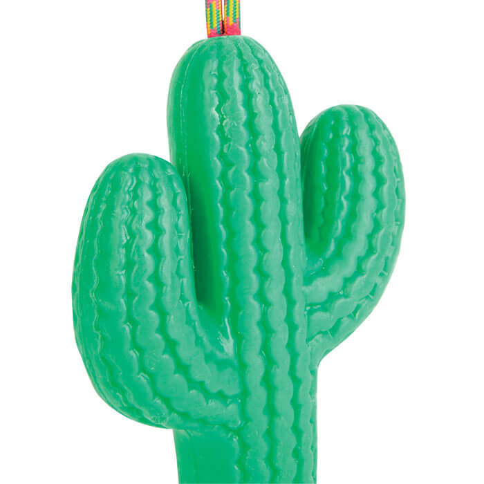 Cactus Soap on a Rope