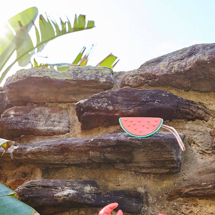 Watermelon Soap on a Rope