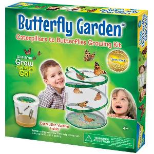 Kit Allevamento Farfalle Butterfly Garden