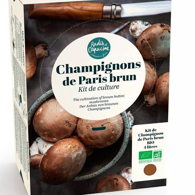 Grow Your Own Mushroom