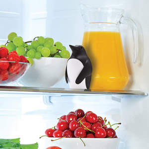 Chill Bill - Absorbe-Odeurs de Frigo