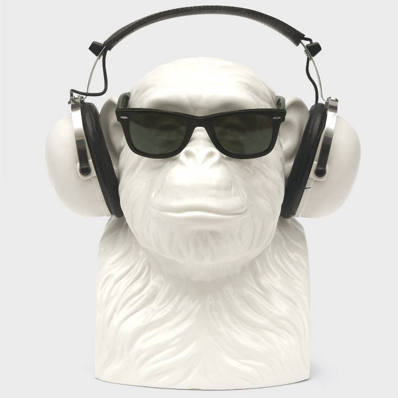 Chimp Tidy