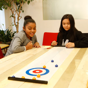 Table Top Curling Game