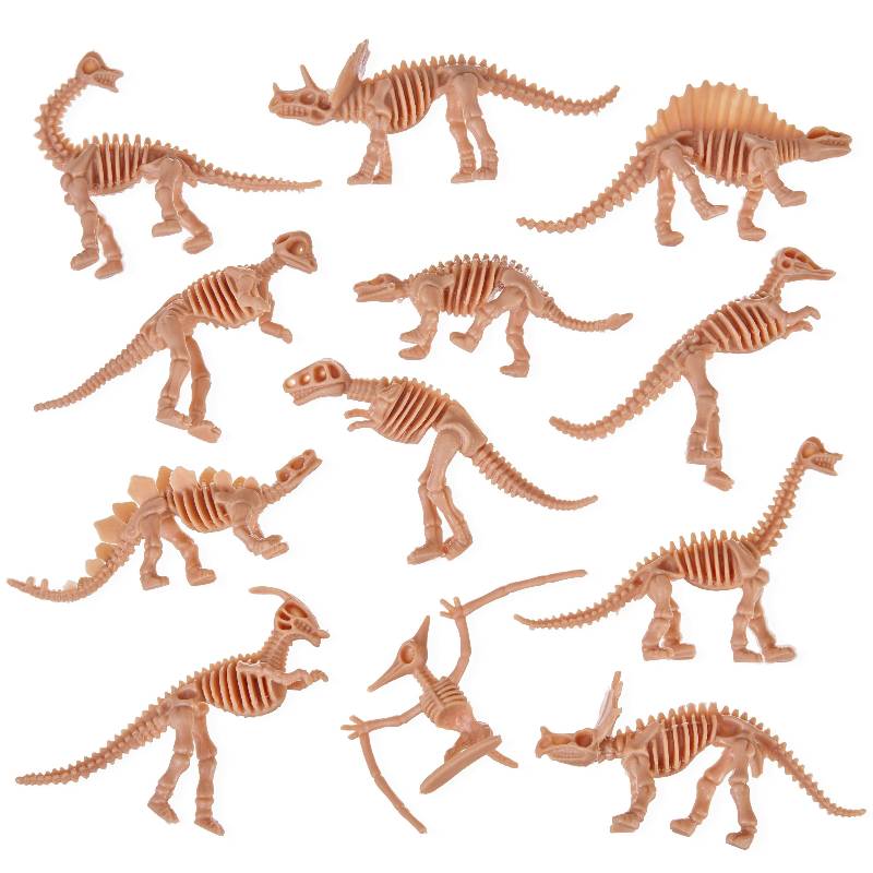40 Dinosaurierskelette