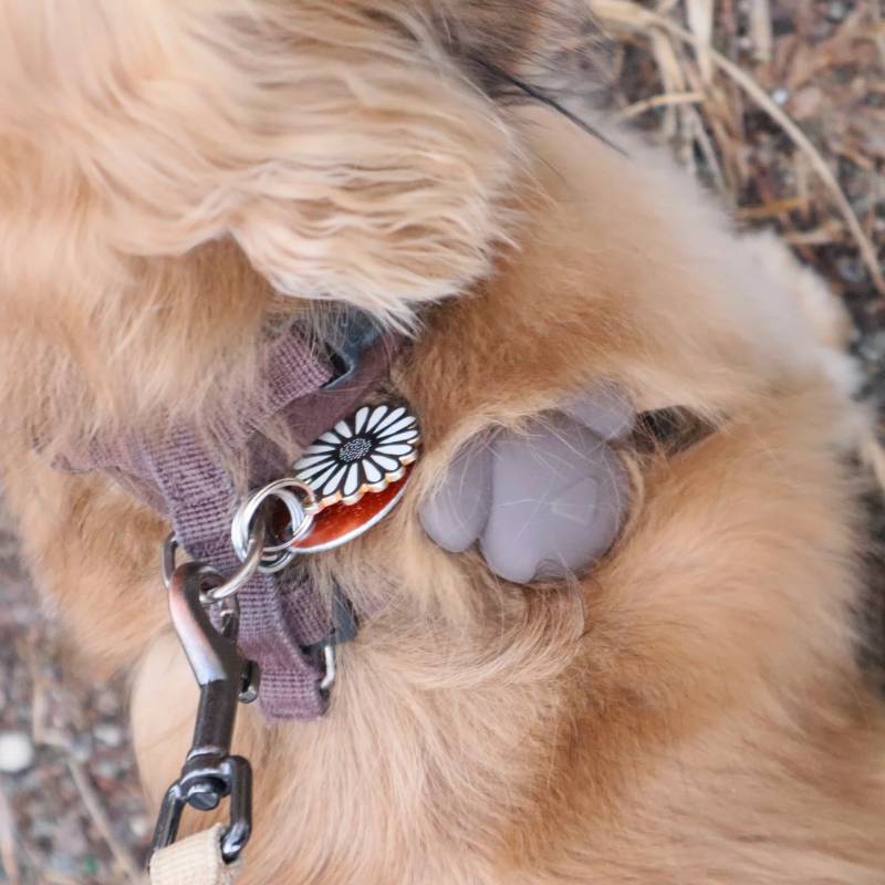 Kobe AirTag Holder for Dogs