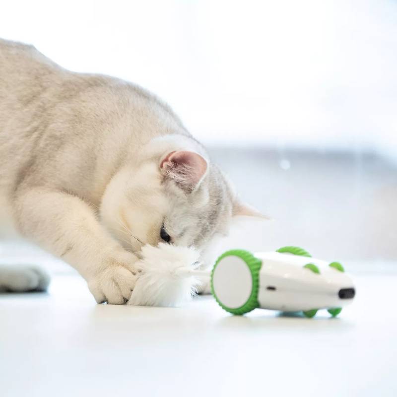 Furious Mouse Cat Toy