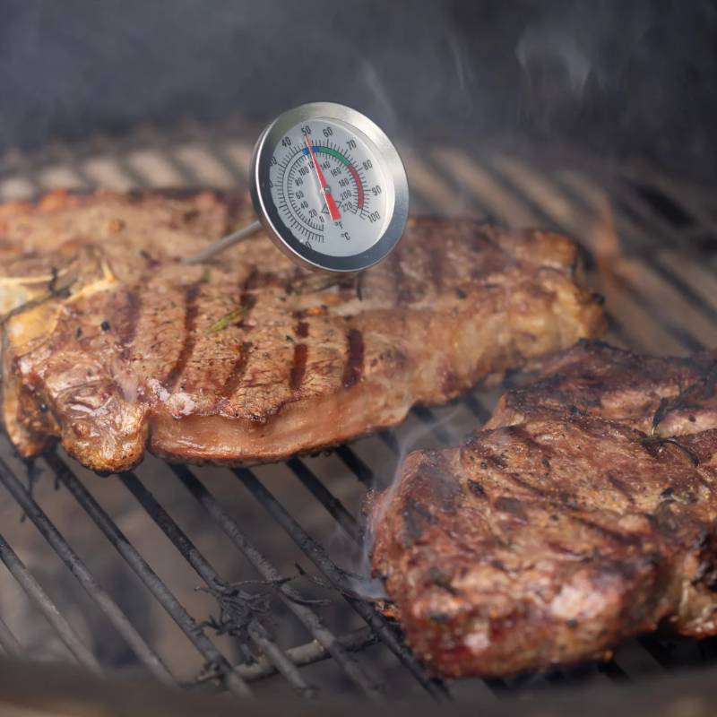 BBQ Lovers Kit with Meat Tenderizer & Thermometer