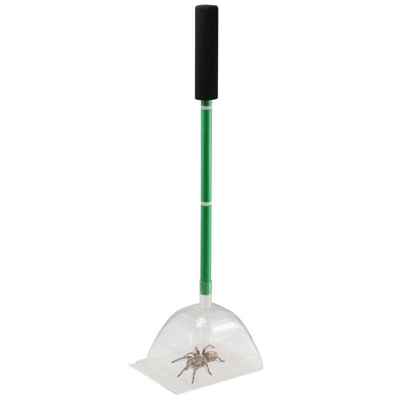 Big Bug Katcha Insect Catcher