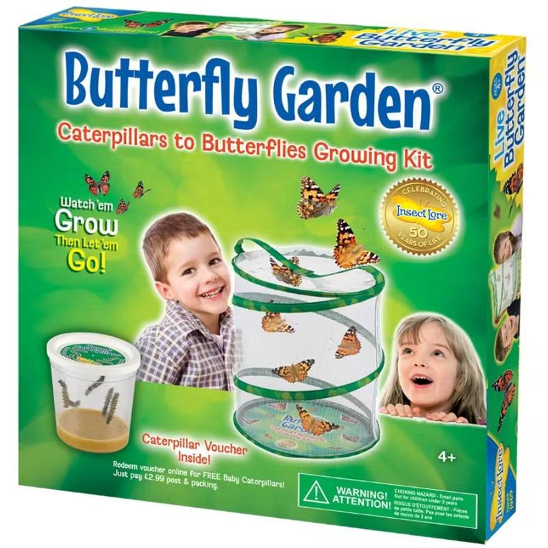 Kit Allevamento Farfalle Butterfly Garden