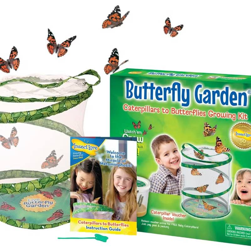 Kit Allevamento Farfalle Butterfly Garden