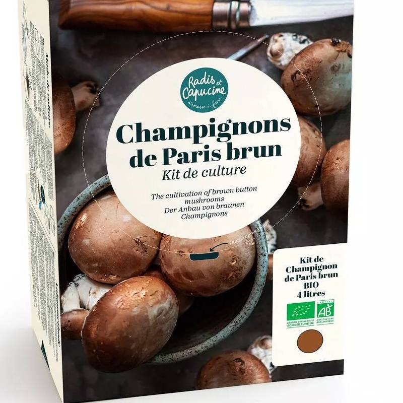 Grow Your Own Mushroom