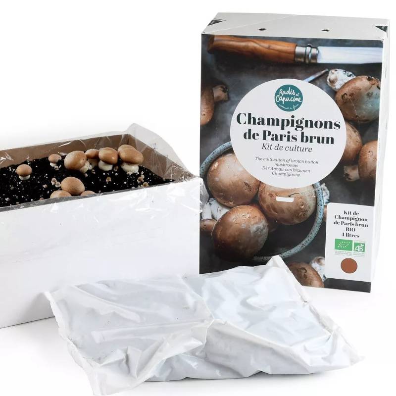 Grow Your Own Mushroom