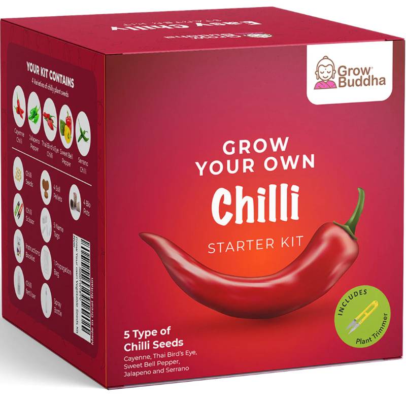 Grow Your Own Chilli Starter Kit