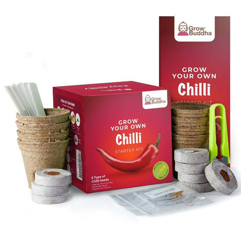 Grow Your Own Chilli Starter Kit