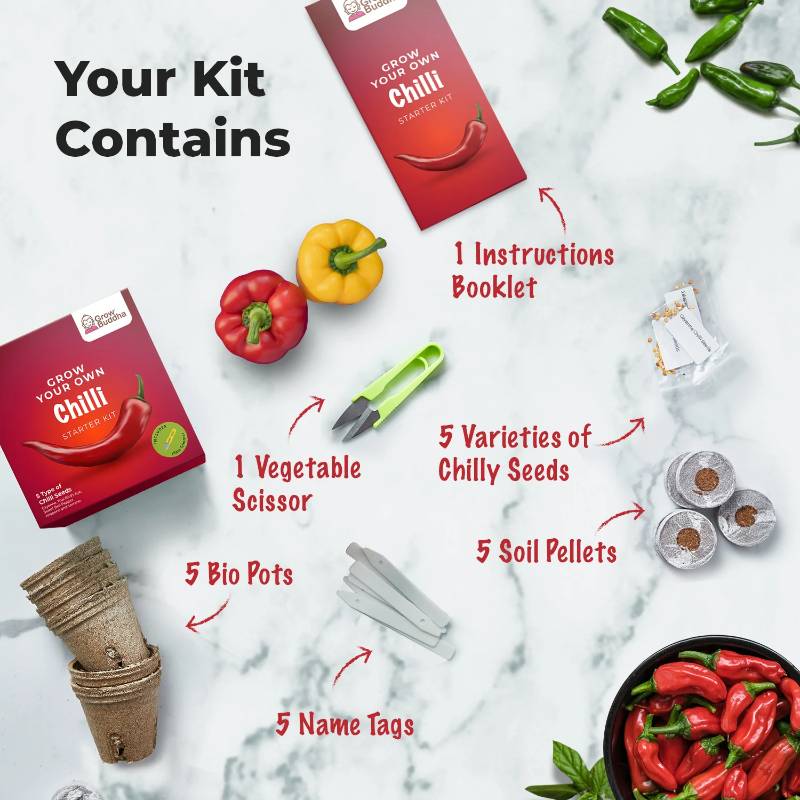 Grow Your Own Chilli Starter Kit