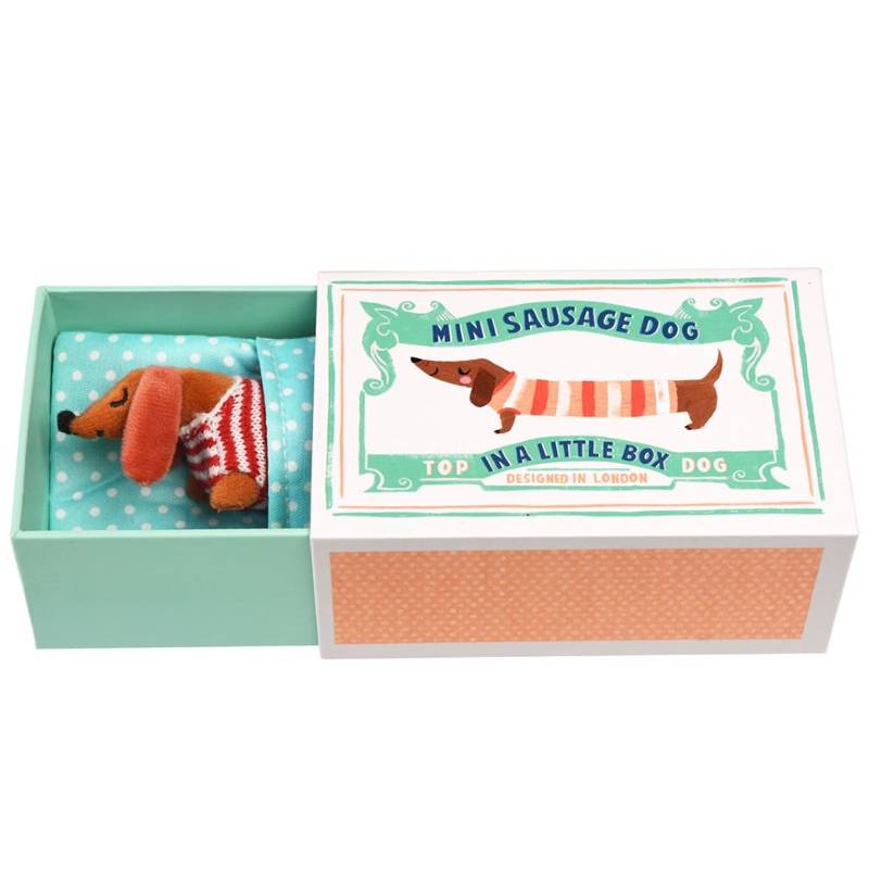 Mini Sausage Dog In A Little Box