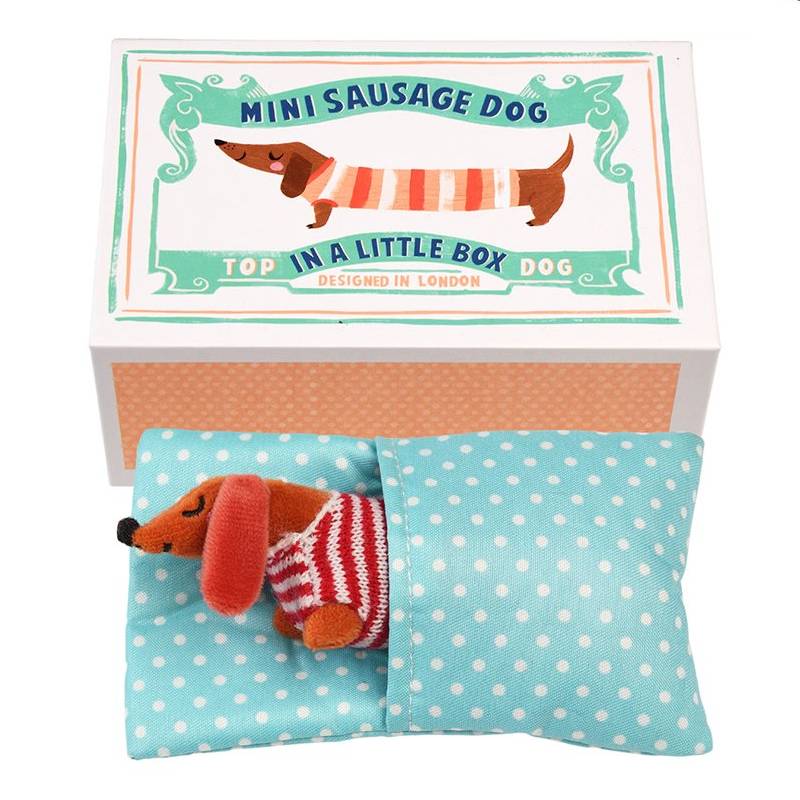 Mini Sausage Dog In A Little Box