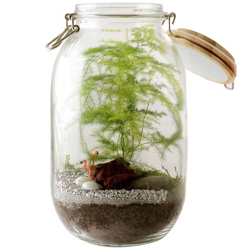 DIY Terrarium