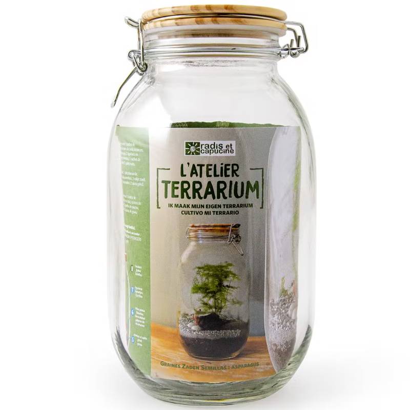 DIY Terrarium