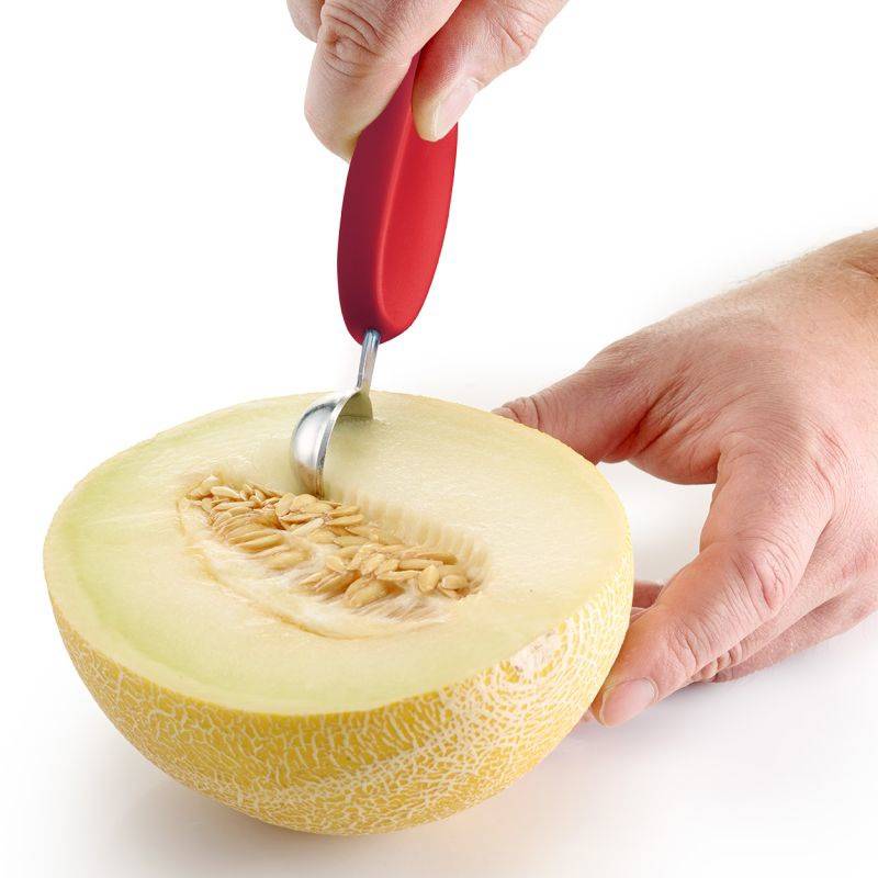 Fruit Slicer