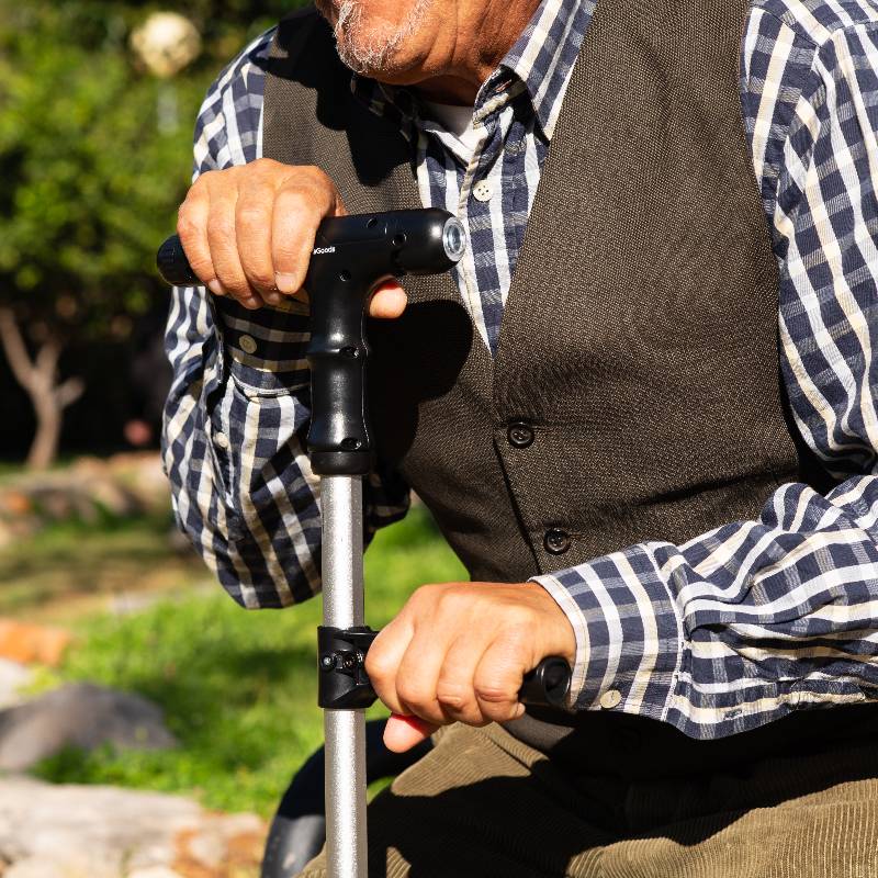 Multifunctional Walking Stick
