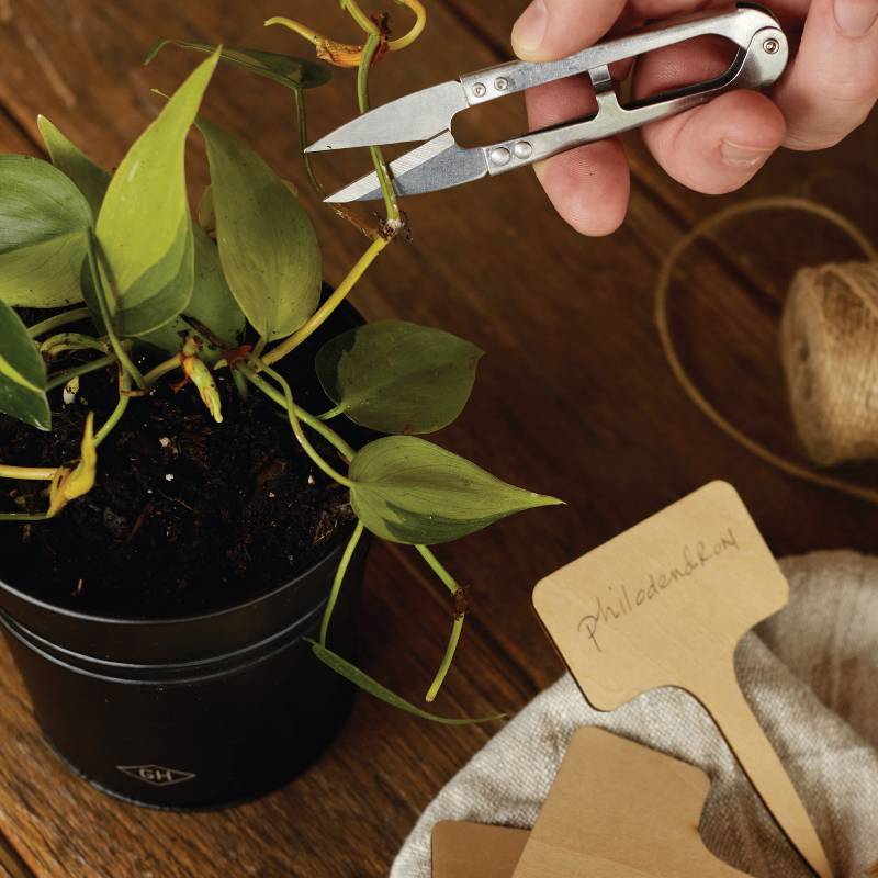 Gardeners Starter Kit