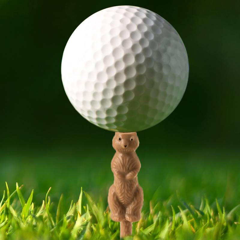 Erdhrnchen Golf Tees Set