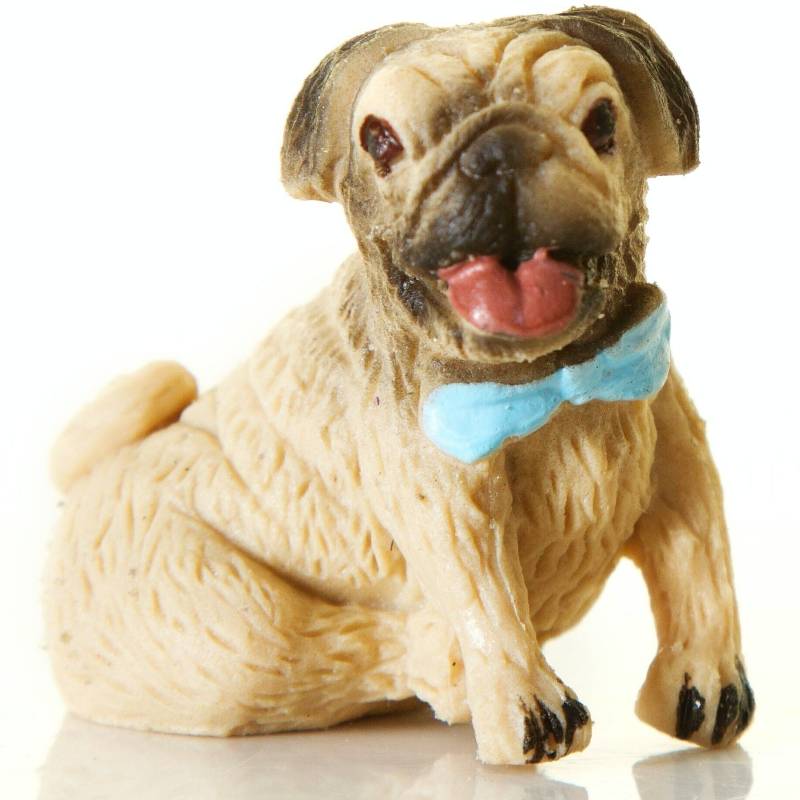Magic Pug