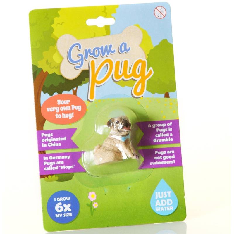Magischer Mops