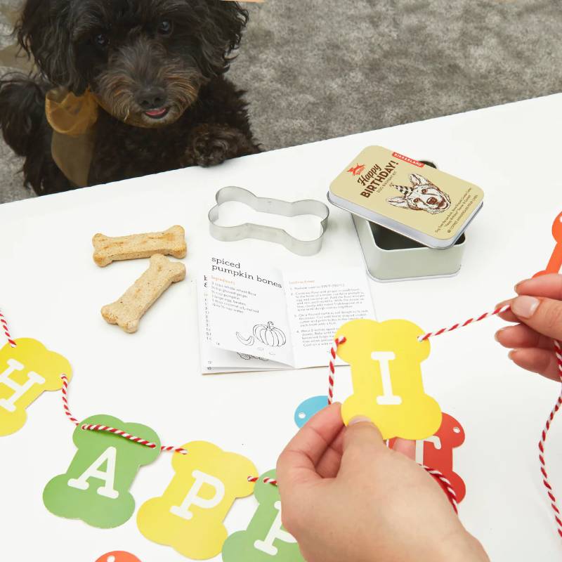 Dog Birthday Kit