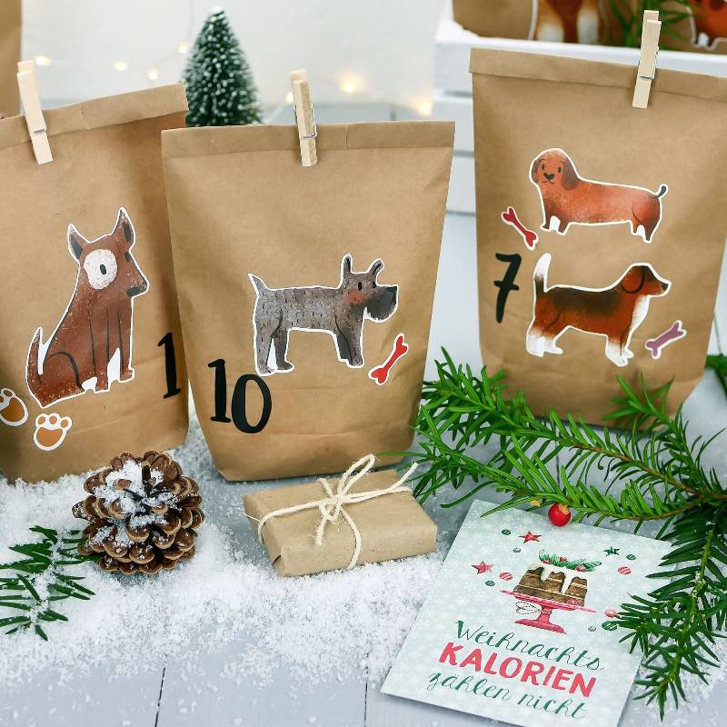 Hunde-Adventskalender