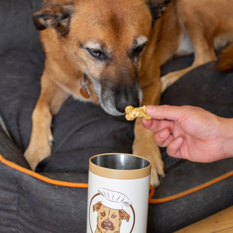 DIY Dog Treat Kit