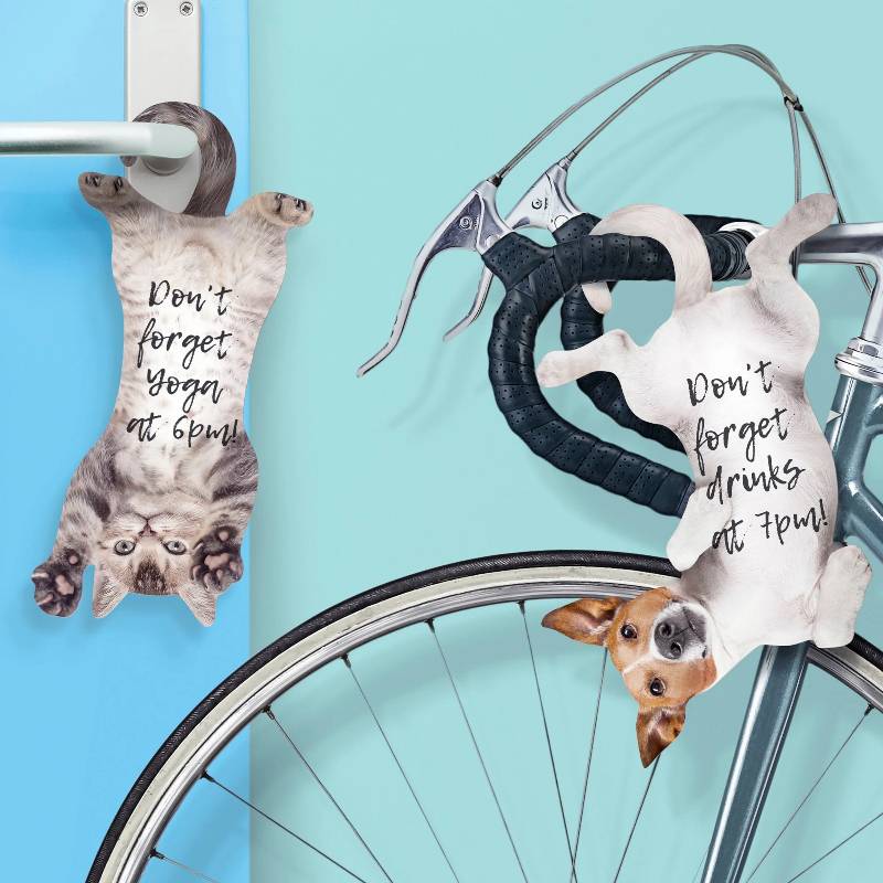 Hanging Cat Sticky Notes