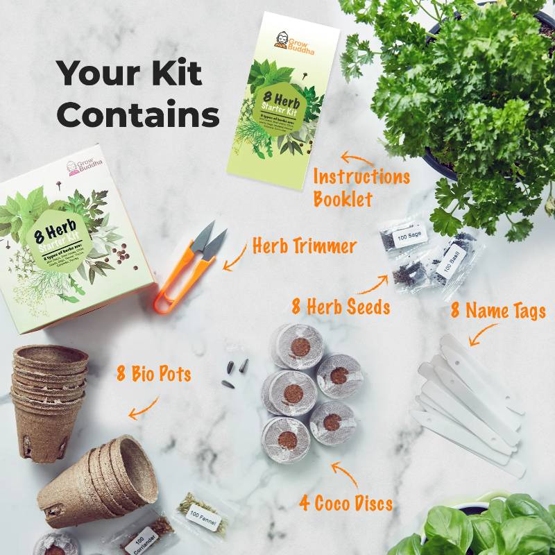 Grow Your Own Herbs Starter Kit