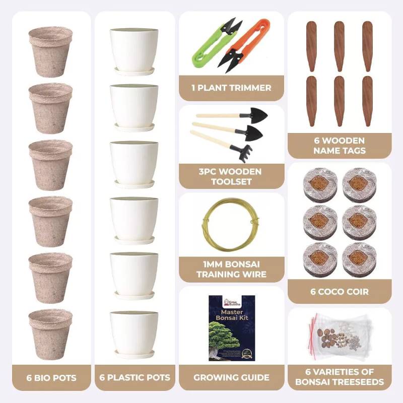 Master Bonsai Starter Kit