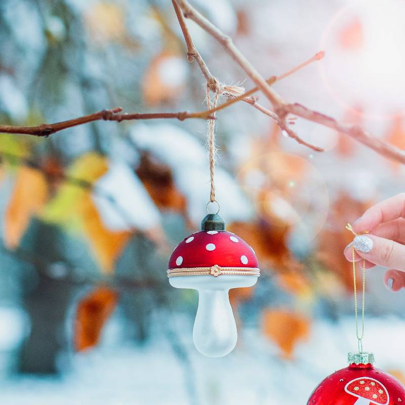 Mushroom Surprise Bauble