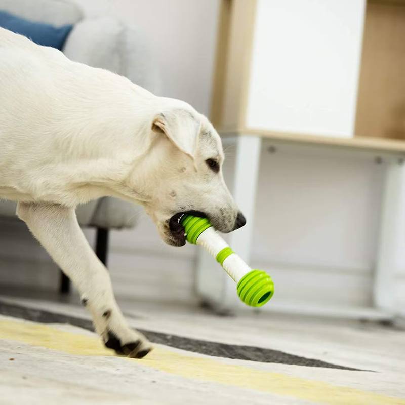 PetGeek Automatischer Hundeknochen