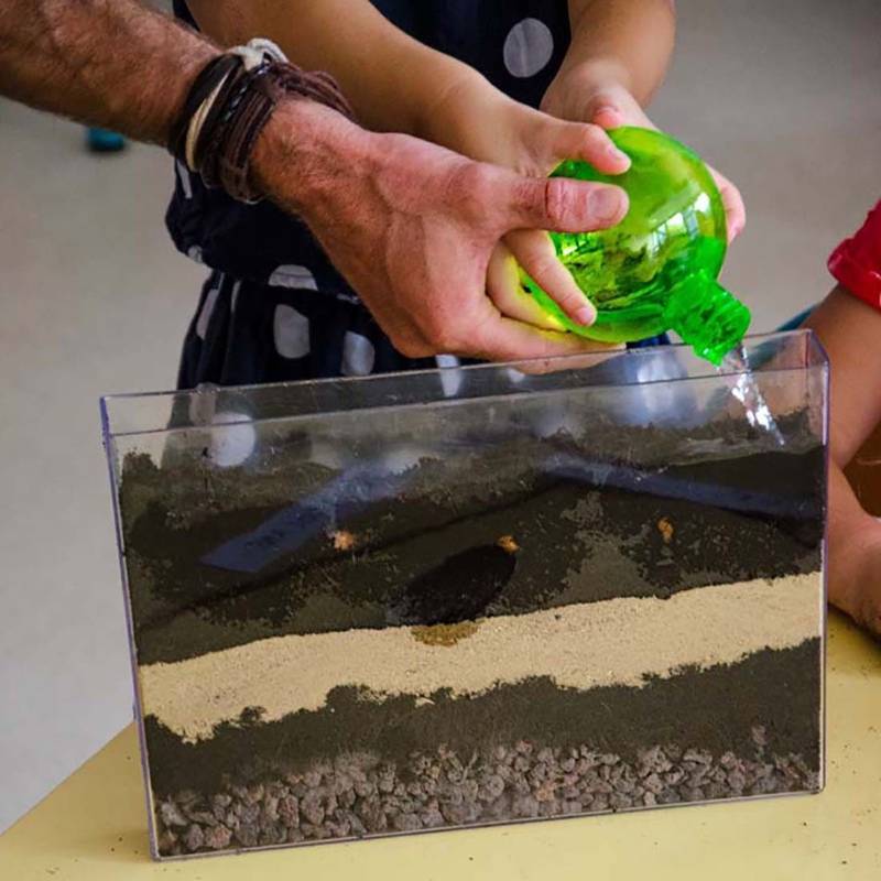 Root and Earthworm Discovery Vivarium