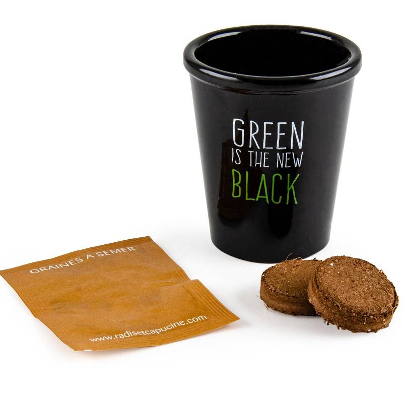 Poppy Growing Set